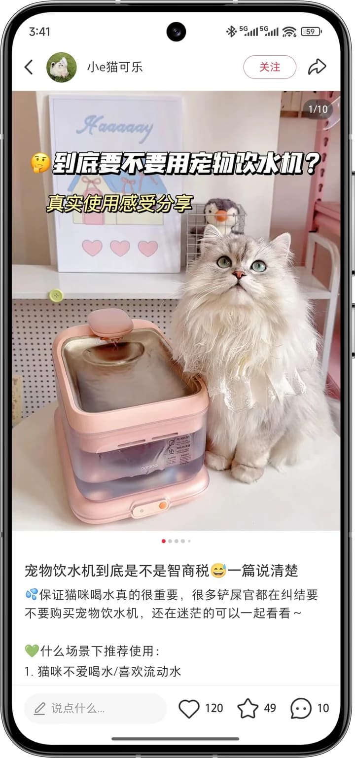 宠物健康案例内容画面 2
